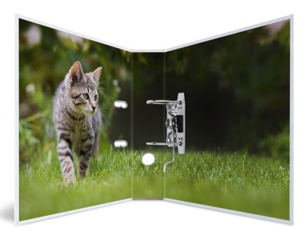 Herma Ordner A4 Karton Katze