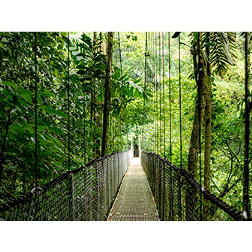 EAN 0199764324627 - HP EliteBook 6 G1a 14 inch Notebook AI PC Wolf Pro Security Edition AMD Ryzen AI 7 250 Portátil 35,6 cm ( imagen 11