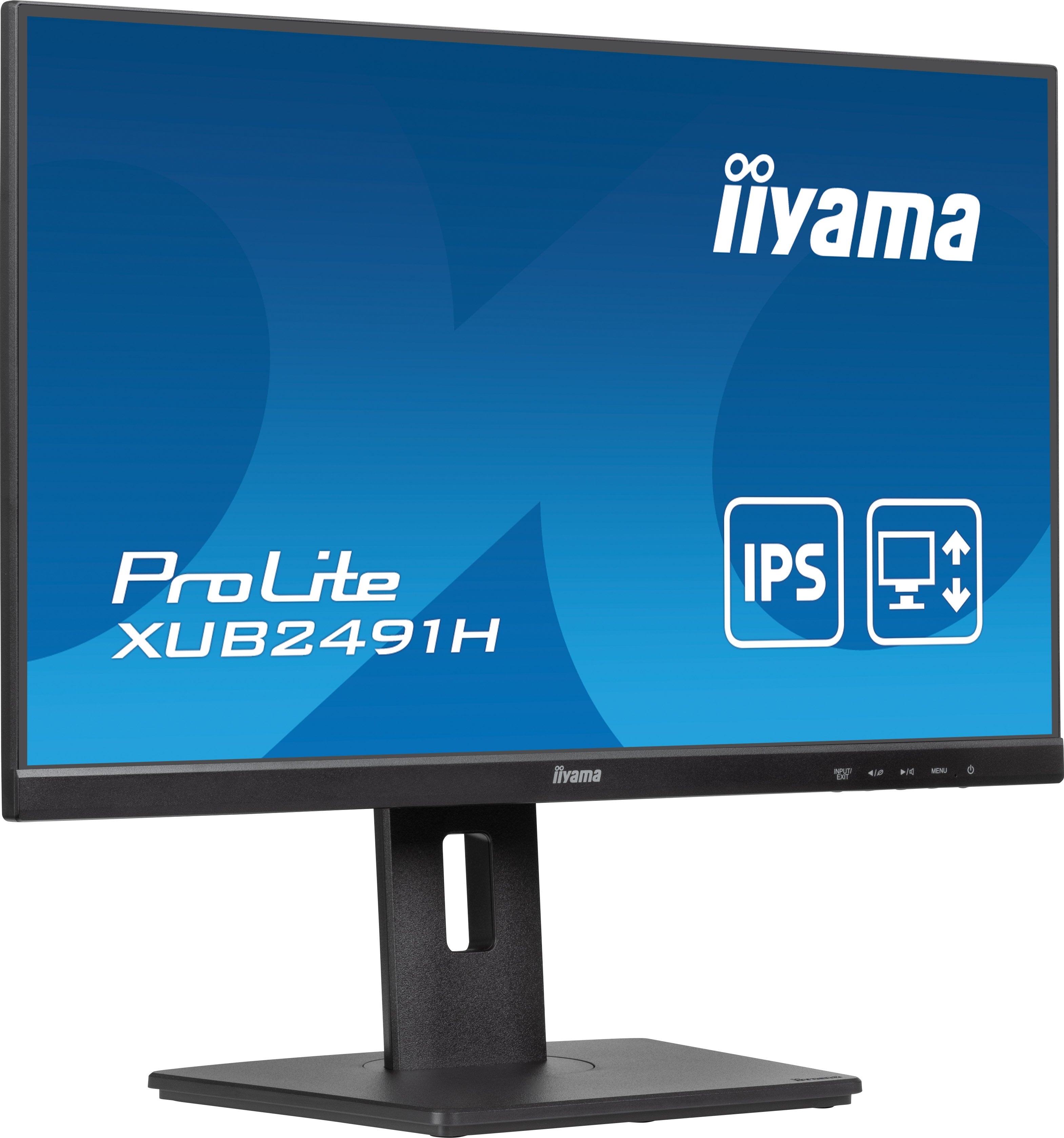 Monitor Iiyama 24", Panel Ips, 100hz, Hdmi, Display Ports. (No Altavoces). Regulable.
