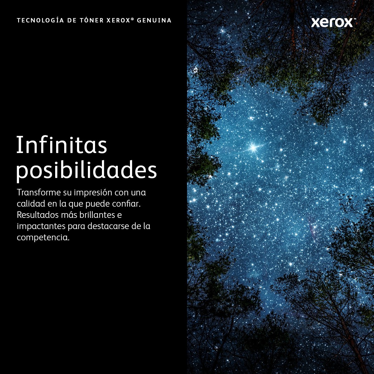 Xerox Toner Negro 2000 Pag. Phaser 6020/6022 Workcentre 6025/6027