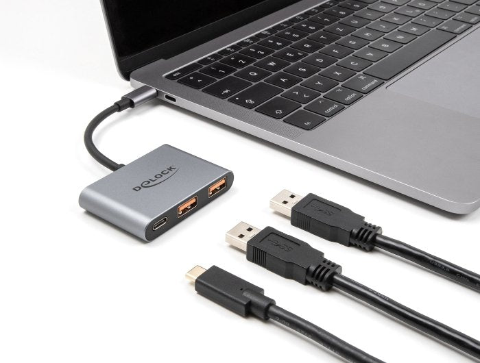 Delock 3 Port Usb Hub 10 Gbps Con Usb Type-C Zu 1 X Usb Typc