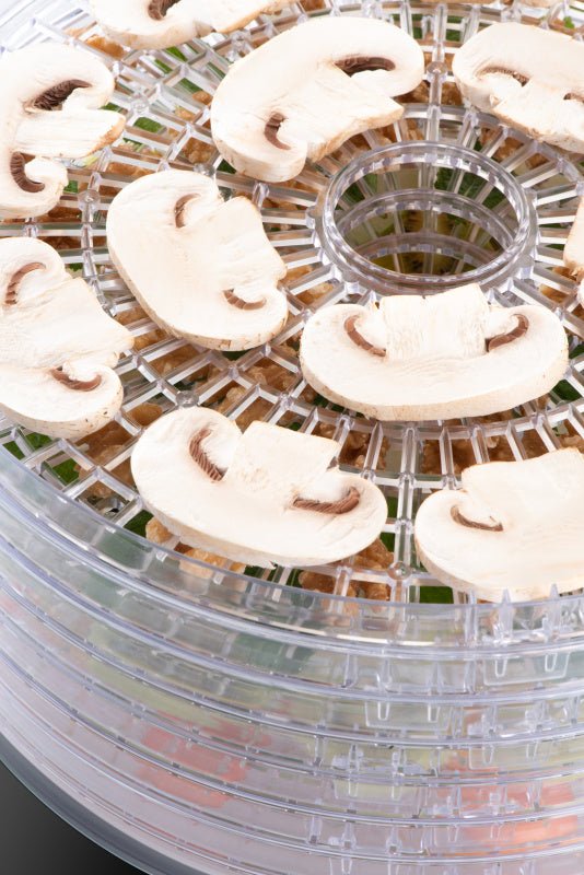 EAN 8590393377503 - Eta SECCA Negro, Transparente 380 W imagen 10