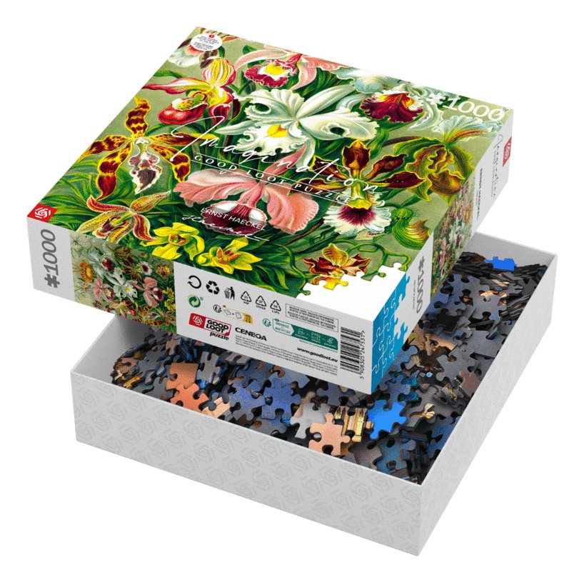 Puzzle Good Loot 1000 Imagination Ernst Haeckel Orchidea / Orchid