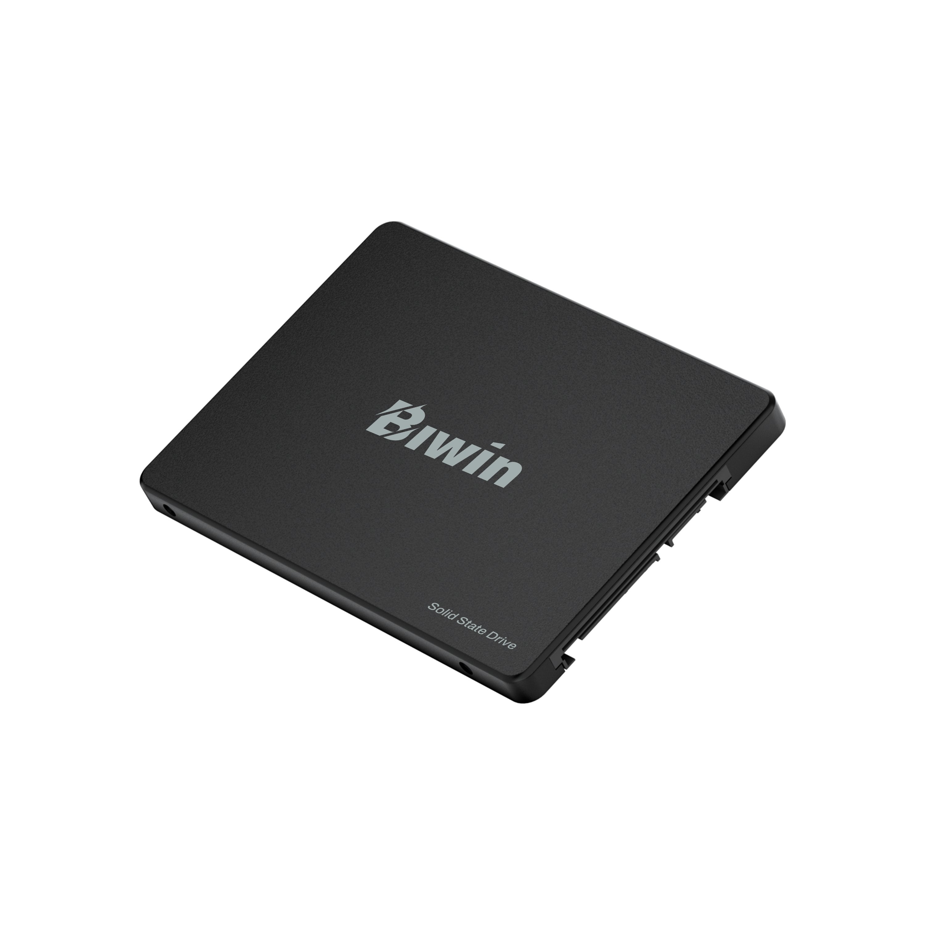 Biwin M100 128gb 2.5" 500 Mb-S
