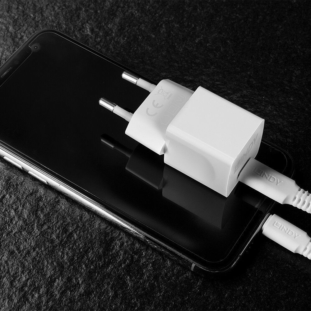 Cargador Lindy Usb Tipo C Pd 20w