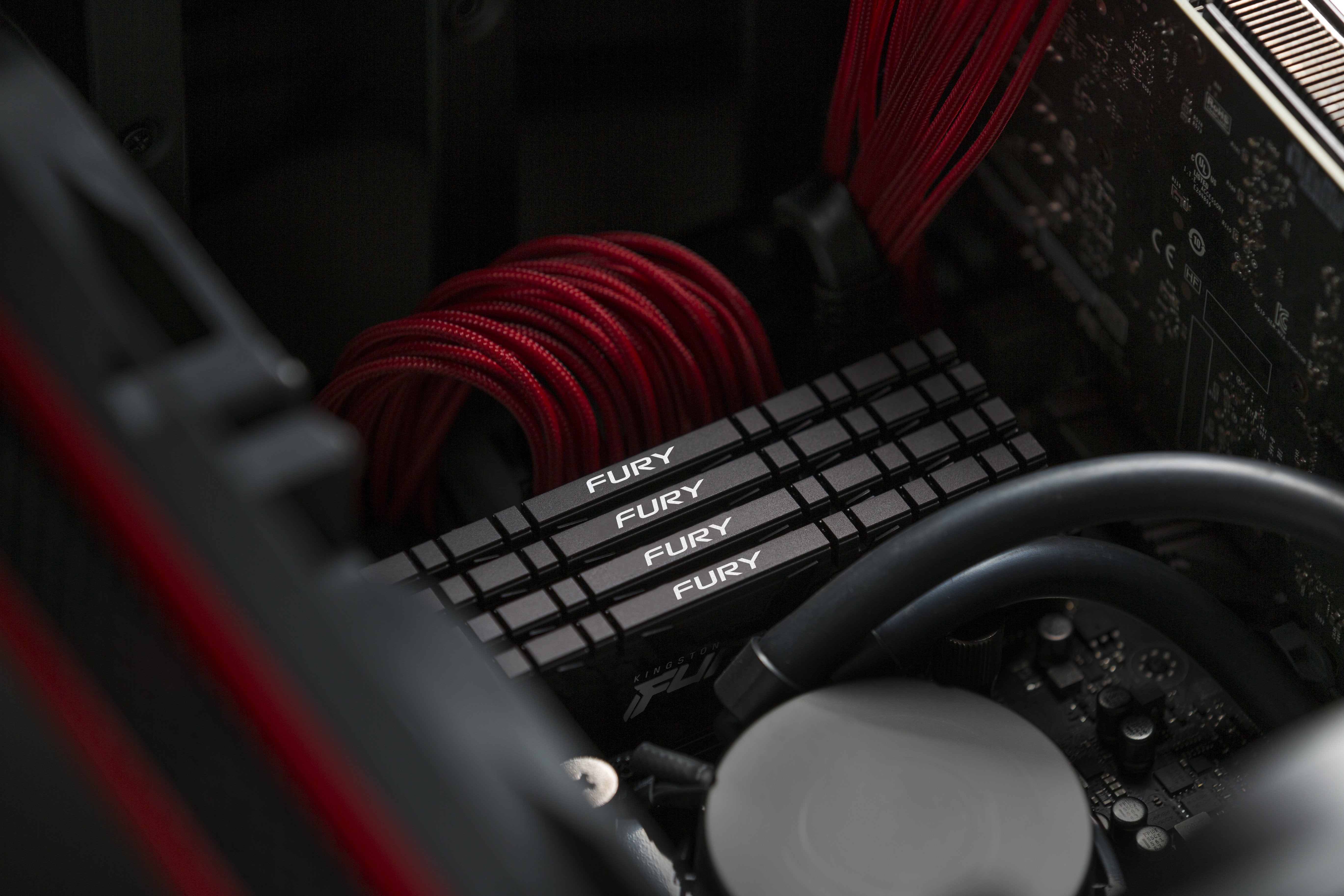 EAN 0740617337853 - Kingston Technology FURY Renegade módulo de memoria 1 x 8 GB 3600 MT/s imagen 16