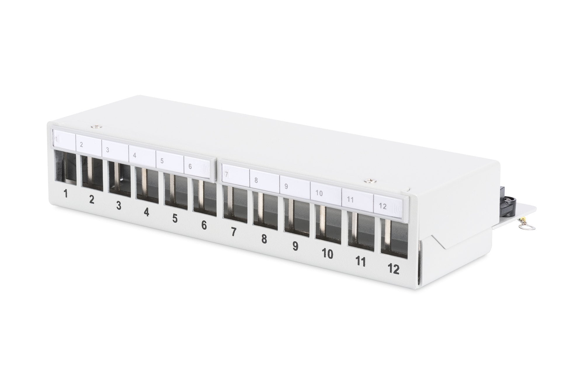 Digitus Dn-93706 Panel De Parcheo 1u