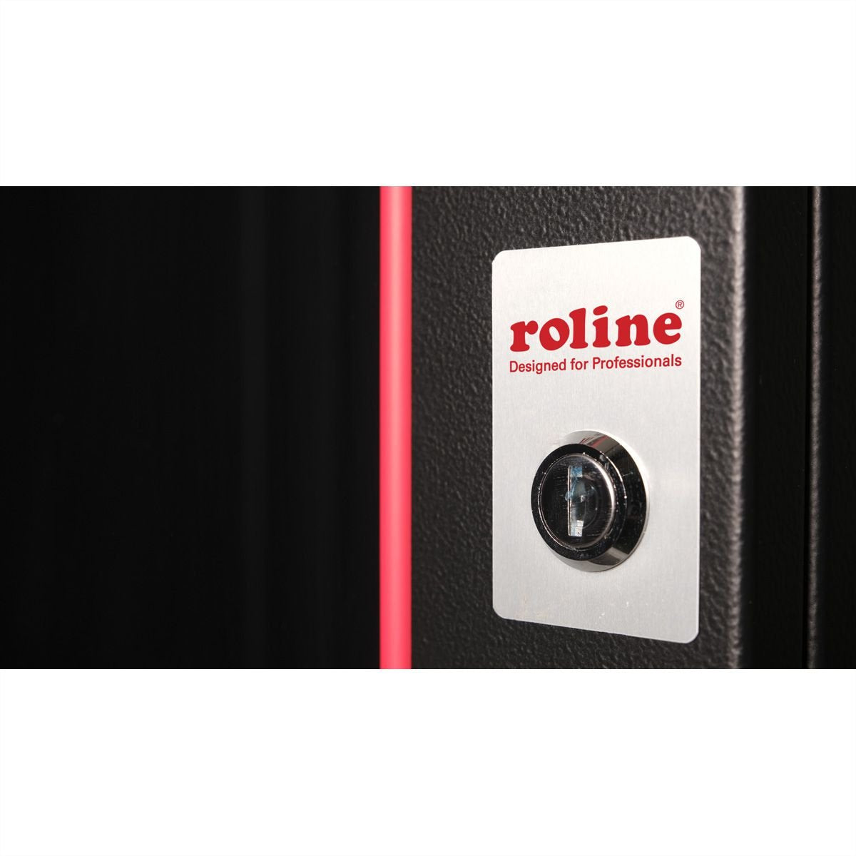 Roline 19-Zoll Wandgehuse Pro 16 He, 600x600 Bxt Schwarz