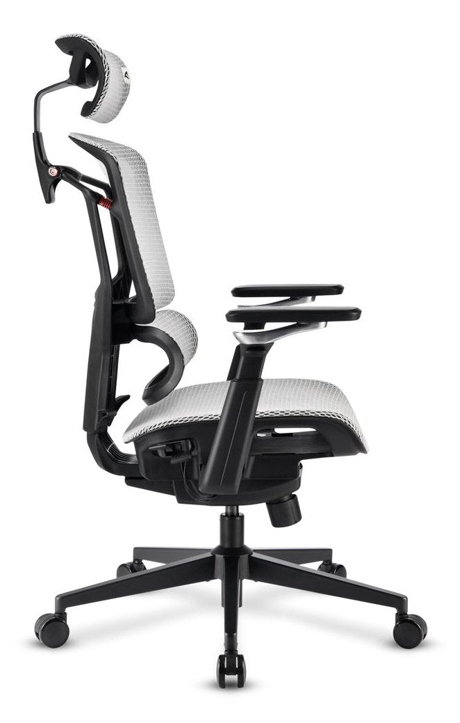 Sharkoon Bürosilla Officepal C50m (Gris) 4044951045051