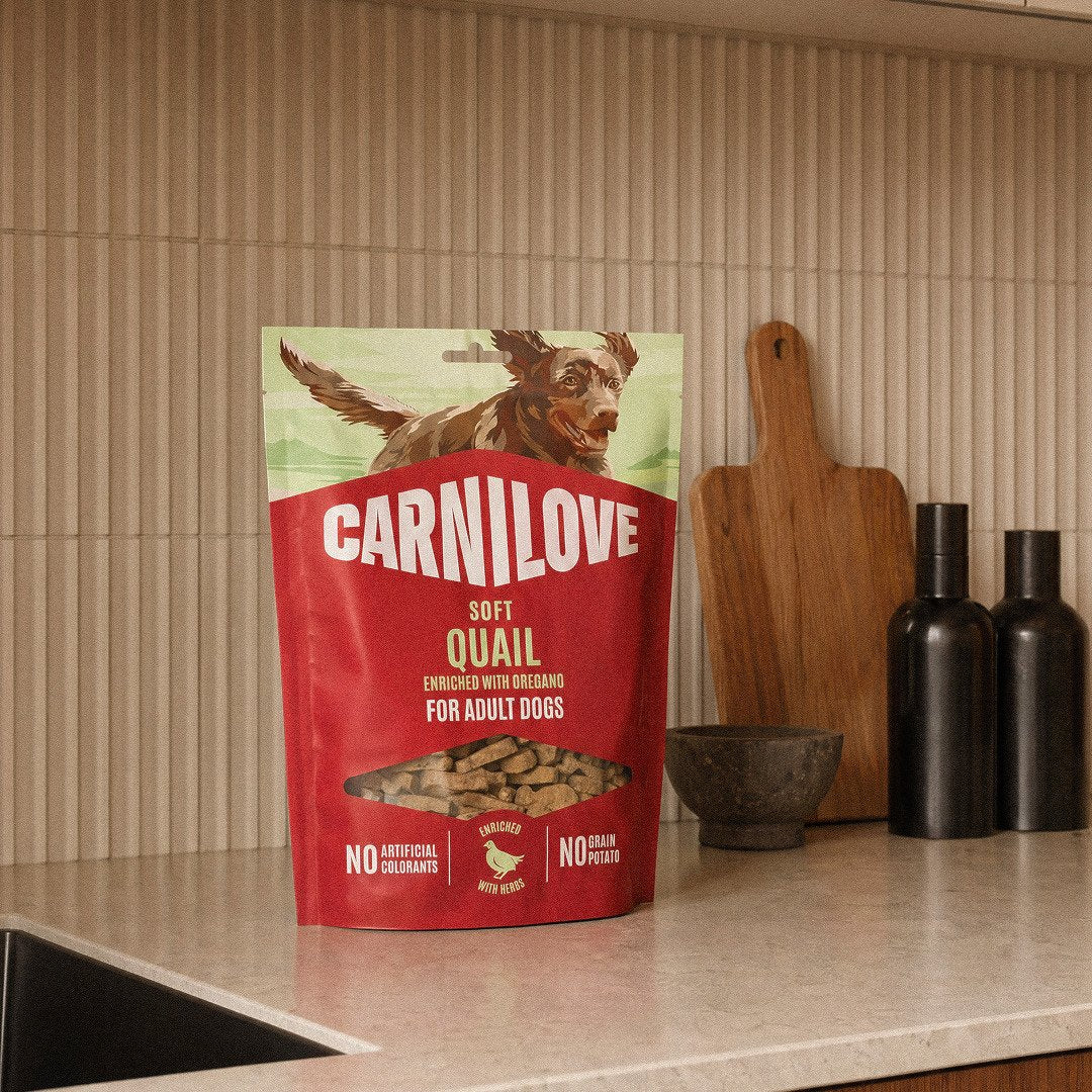Carnilove Dog Soft  Snack Salmon With Thyme Small Bite 200 G