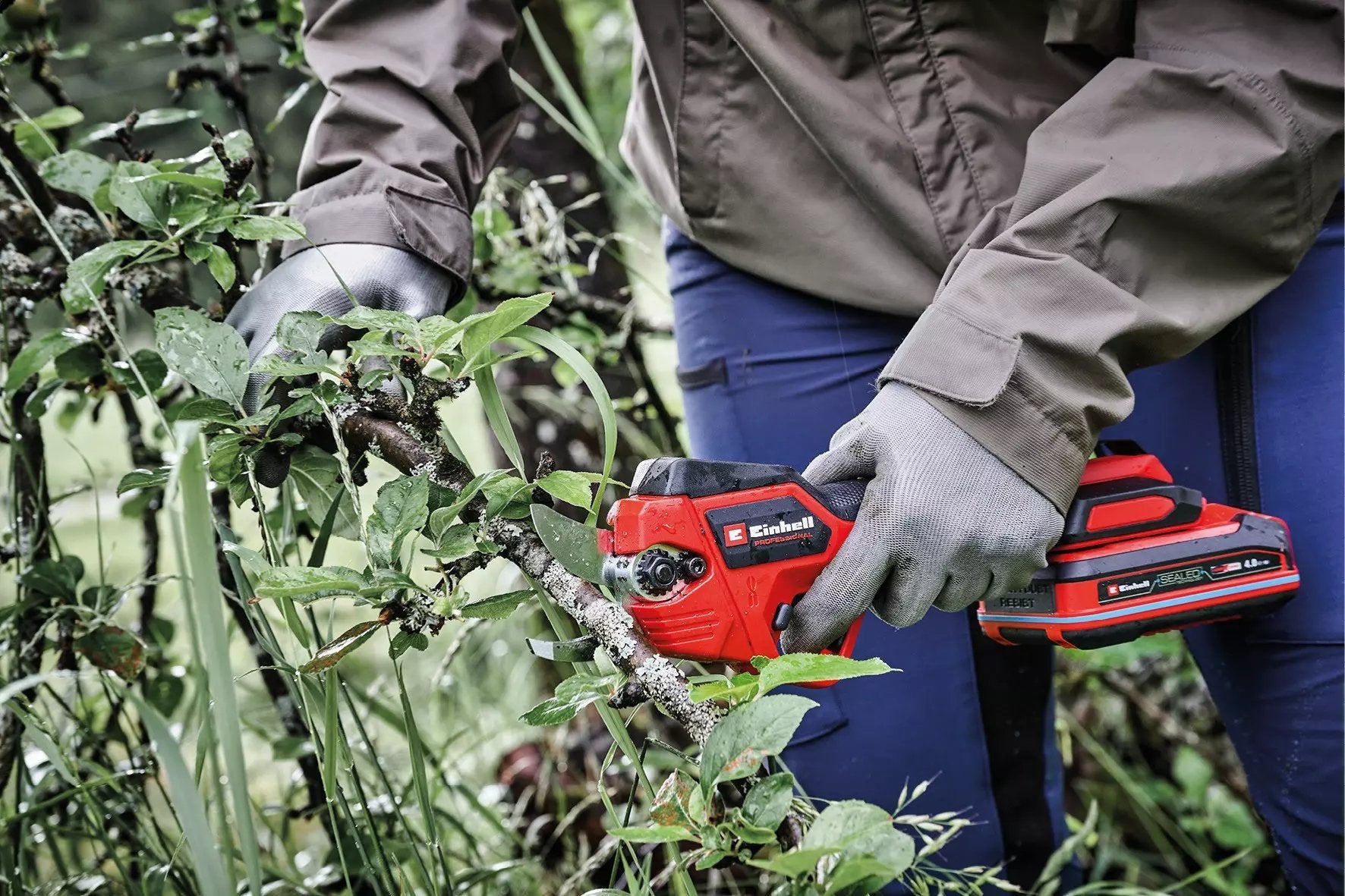 Einhell Tijeras De Podar Telescópicas A Batería Profesionales Gp-Ls 18/28 Li T Bl-Solo, 18 Voltios Rojo/Negro, Sin Batería Ni Cargador, Tijeras De Podar O Tijeras Telescópicas 2 En 1 3408330