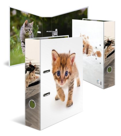 Herma Ordner A4 Karton Katze