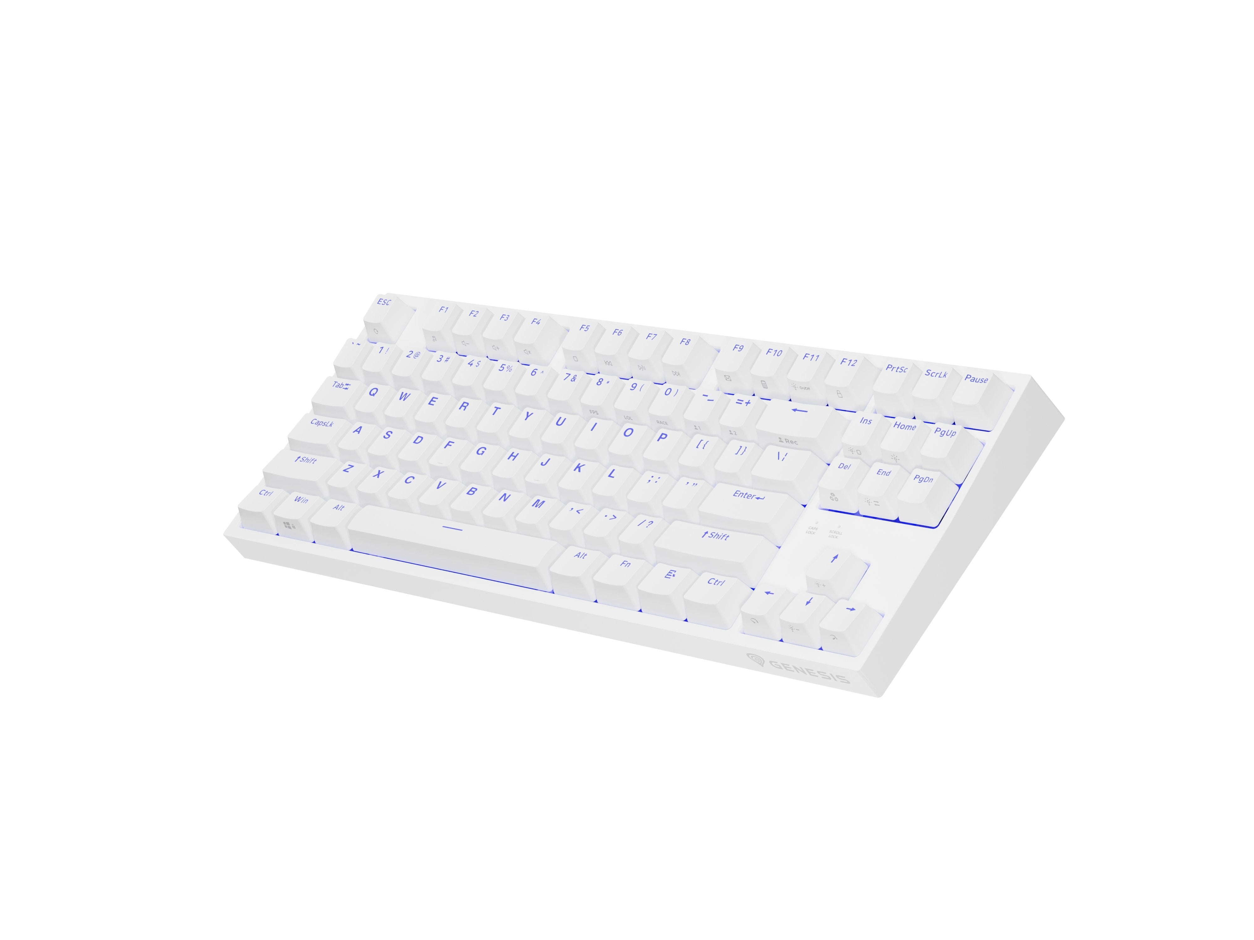 Genesis Thor 404 Tkl Biala Rgb Kailh Box Brown V2