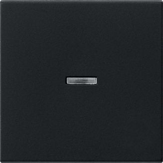 EAN 4010337038184 - GIRA System 55 interruptor basculante imagen 1