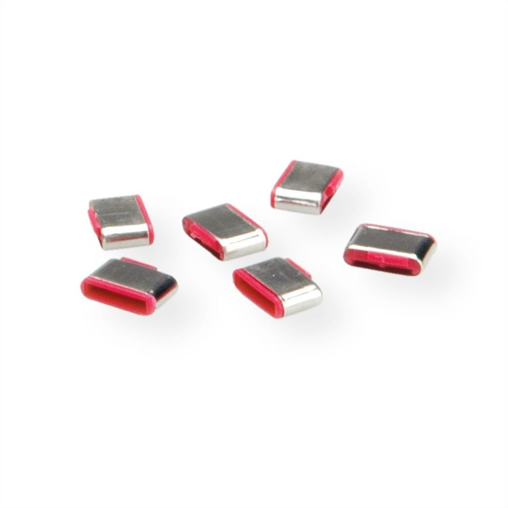 Roline 10x Usb-C Schloss Fr 11.02.8333