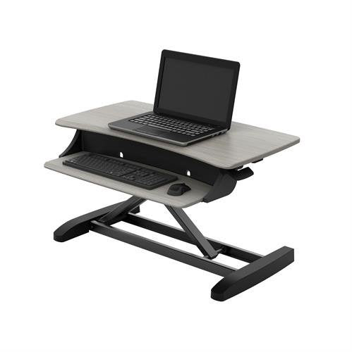 Ergotron Workfit-Z Mini