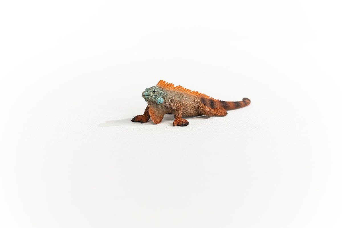 Schleich Iguana Vida Salvaje 14854