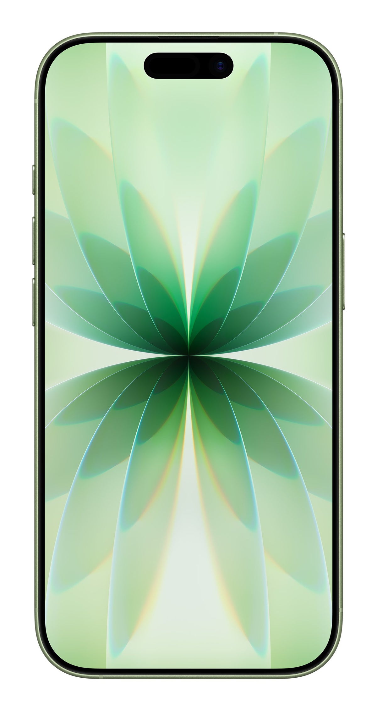 EAN 0195950644302 - Apple iPhone 17 16 cm (6.3") SIM doble iOS 26 5G USB Tipo C 256 GB Salvia imagen 2