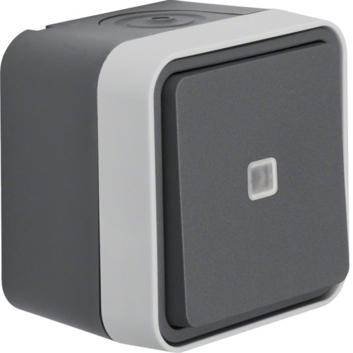 Berker 30763525 Ko-Wechselschalter, Beleuchtet Ap Wd W.1 Grau