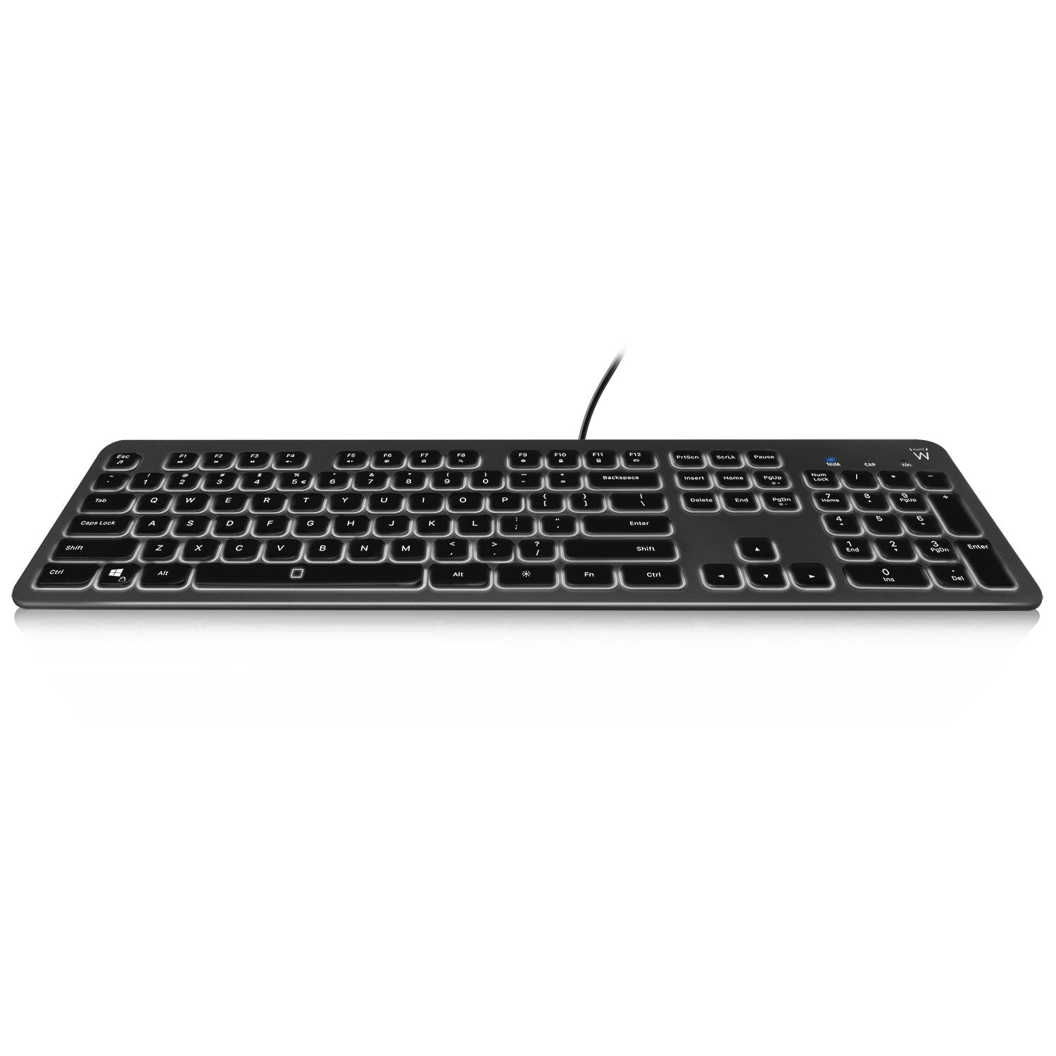 EAN 8052101430165 - Ewent EW3268 teclado Universal USB QWERTY Italiano Negro imagen 1