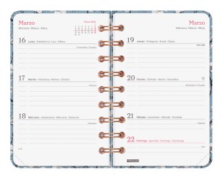 EAN 8422952405474 - Finocam 760103126 agenda Agenda semanal Multicolor imagen 5