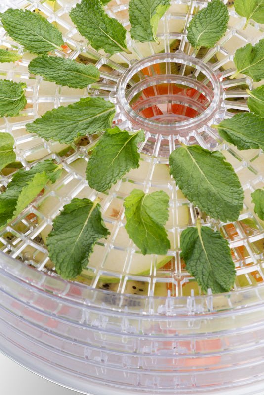 EAN 8590393377497 - Eta SECCA Transparente, Blanco 380 W imagen 10