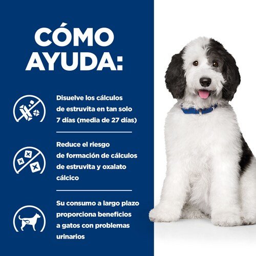 EAN 0052742042237 - Hills 605888 alimento húmedo para perros Pollo, Ternera Universal 1,5 kg imagen 3