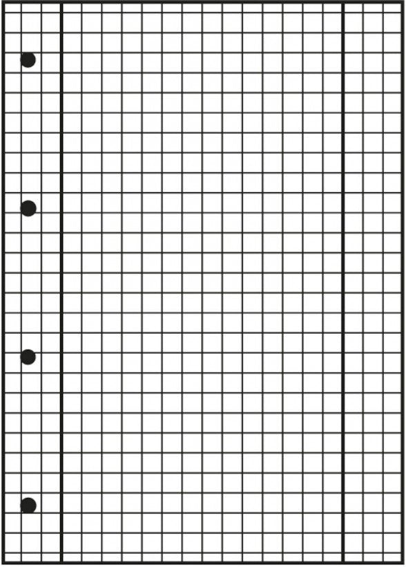 Oxford Schulblock - A4 (210 X 297 Mm) - 50