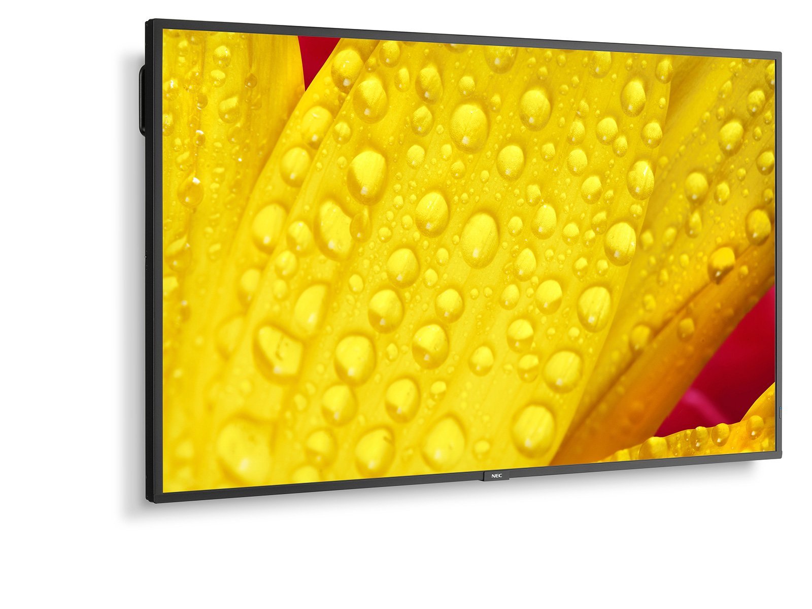 EAN 5028695127470 - NEC MultiSync M501-2 Diseño de quiosco 127 cm (50") LED 4K Ultra HD Negro Procesador incorporado imagen 15