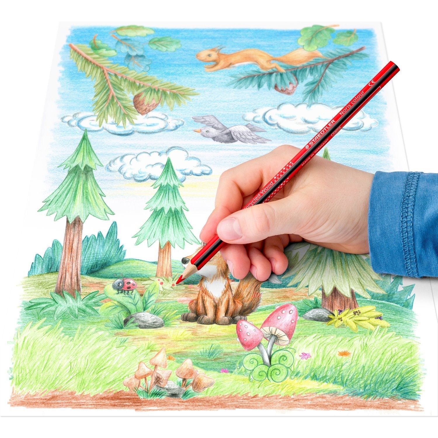 Staedtler Lapiz De Colores Noris Color 24uds