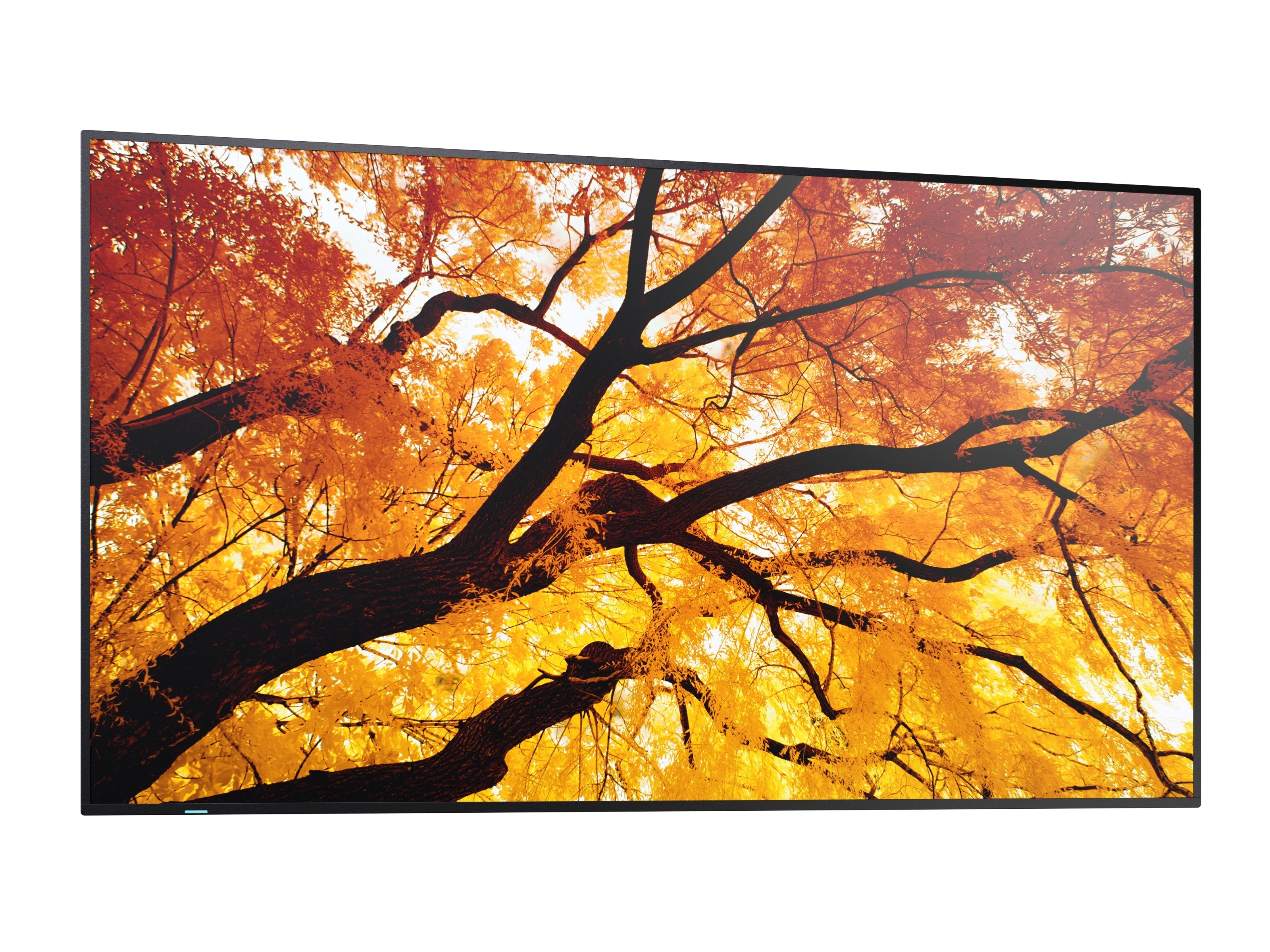 Sharp Multisync M982 Panel Plano Interactivo 2,48 M (97.5") Led 550 Cd / M² 4k Ultra Hd Negro 24/7