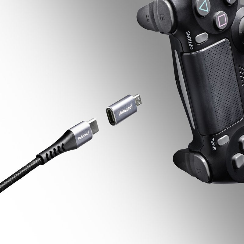EAN 4034303038152 - Intenso 7600913 cambiador de género para cable Gris imagen 12