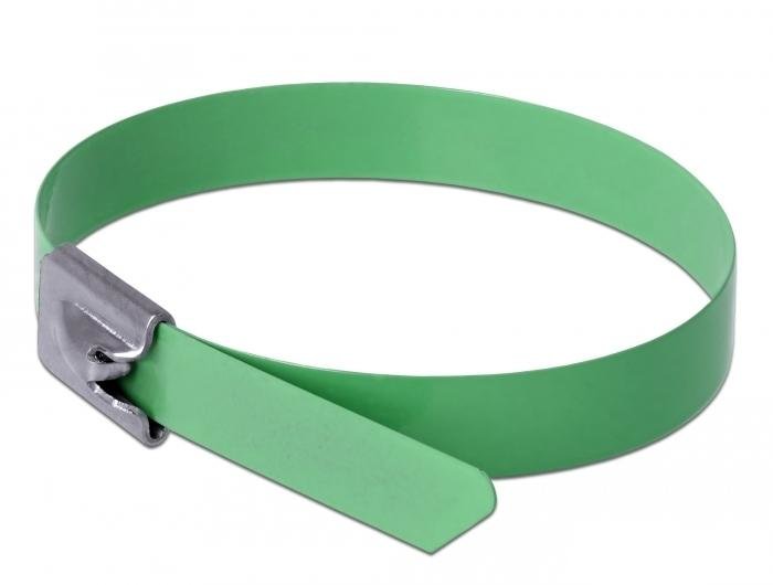 Delock Bridas De Acero Inoxidable L 200 X B 7,9 Mm Verde 10 Piezas