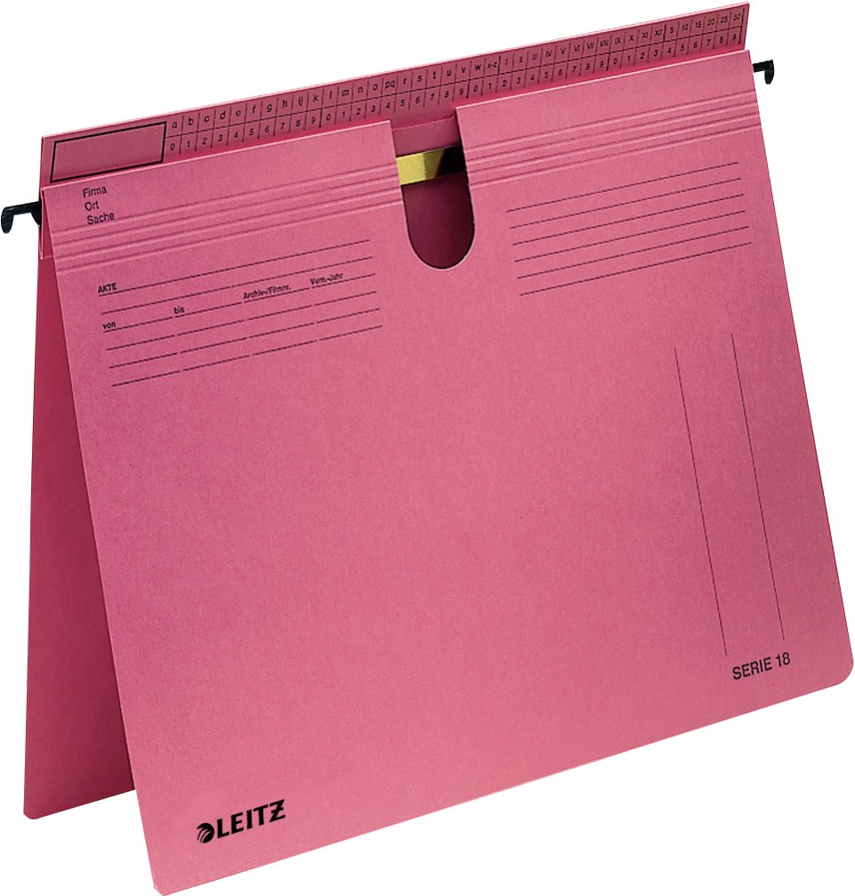 Esselte Leitz Serie 18 - Carpeta Colgante - Para A4 (210 X