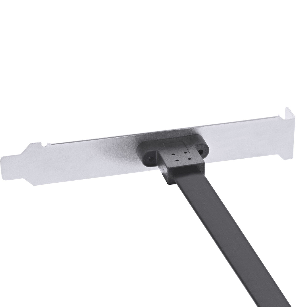 Inline Slot Bracket Usb Type-C A Usb 3.1 Panel Frontal Key-A Internal, 0.3m