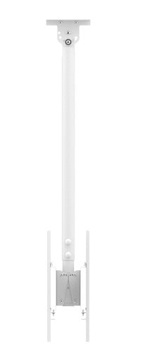 Func Ceiling Lp Medium Single  White
