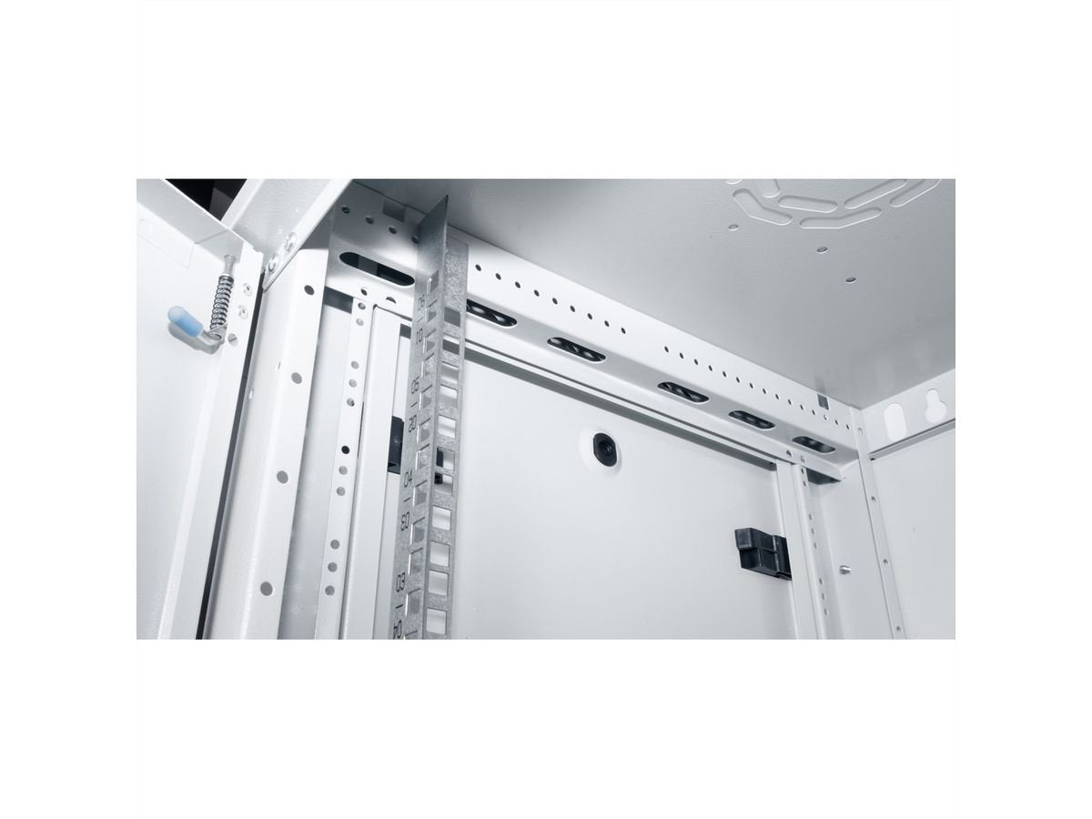Roline 19-Pulgadas Pared Carcasa Basic Plus 6he, 600x450 Bxt Gris