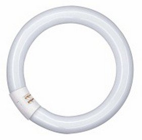 Bailey Electric & Electronics Fc040840/02 Lámpara Fluorescente 40 W