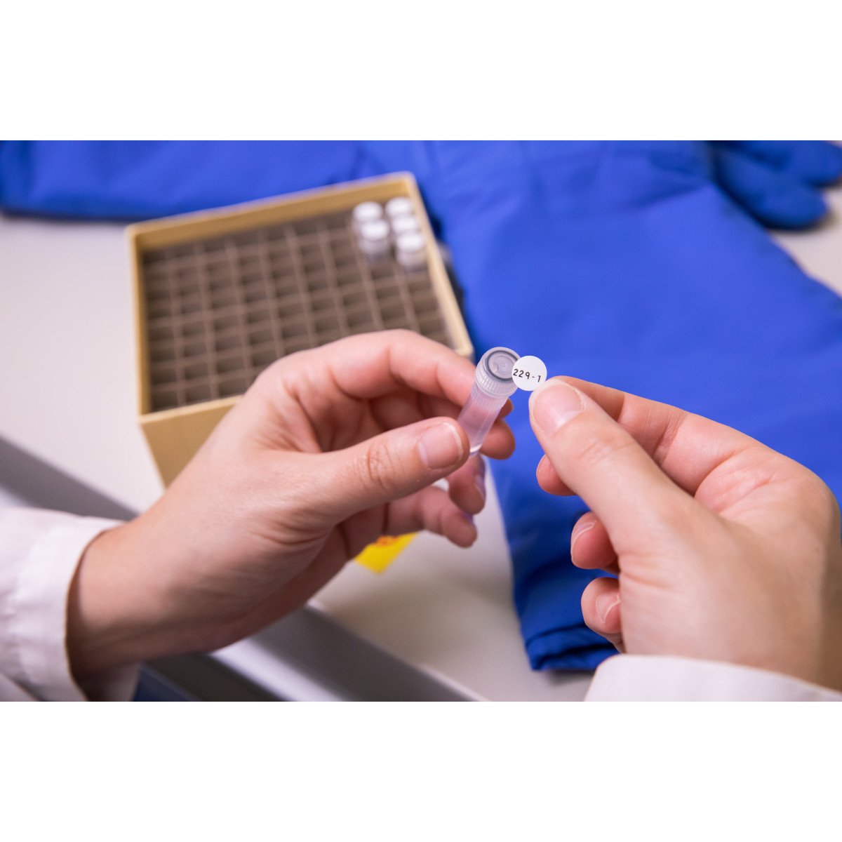 Bmp41/Bmp51/Bmp53/M511  Freezerbondz Label Printer