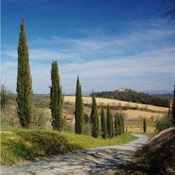 EAN 4250234599528 - Walimex 19952 filtro de lente de cámara Filtro polarizador 58 mm imagen 2