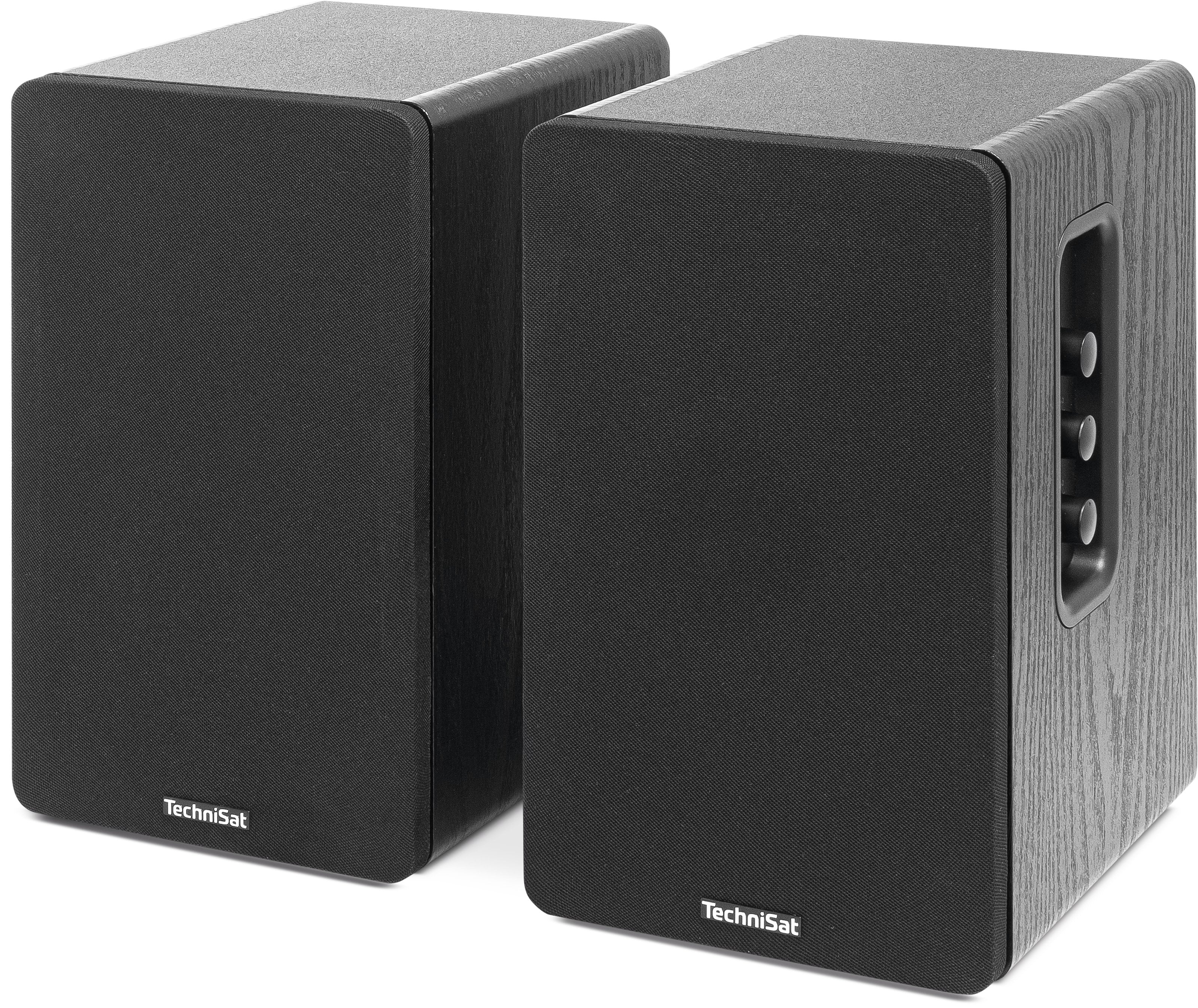 Technisat Audiomaster Rls 1