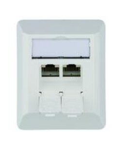 Toma Telegärtner Amj45 8/8 K Ap / 50 Cat.6a Blanco Alpino