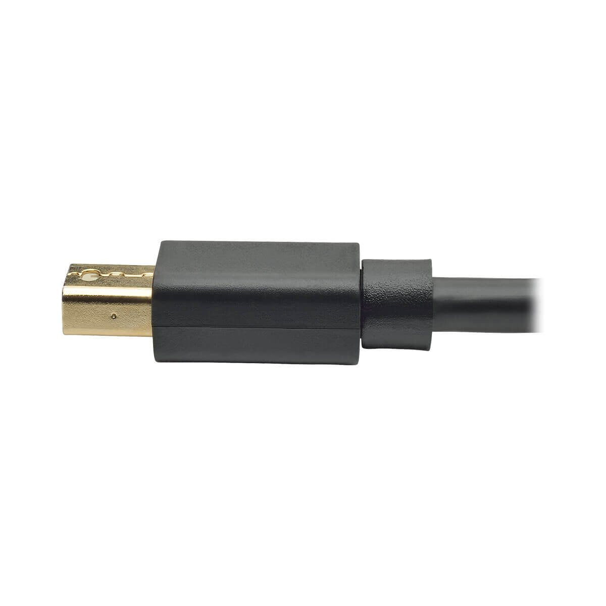 Tripp Lite P583-006-Bk Adaptador De Cable Mini Displayport A Displayport 4k A 60 Hz [M/M], Negro, 1.83 M [6 Pies]