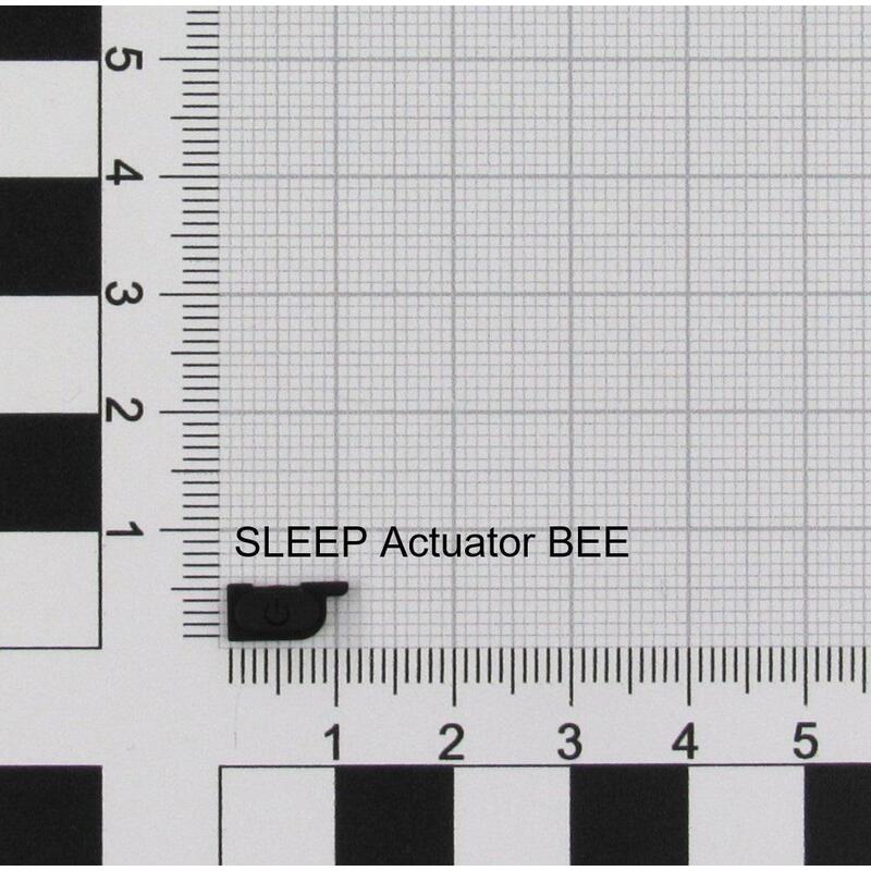 Act/Sleep (K1) Bee
