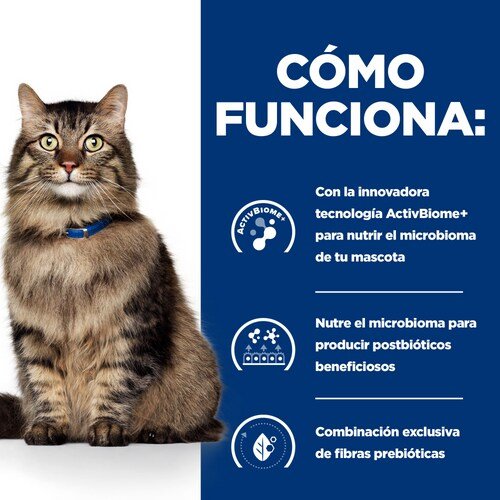 EAN 0052742042084 - Hills 605851 comida húmeda para gatos 3 kg imagen 4