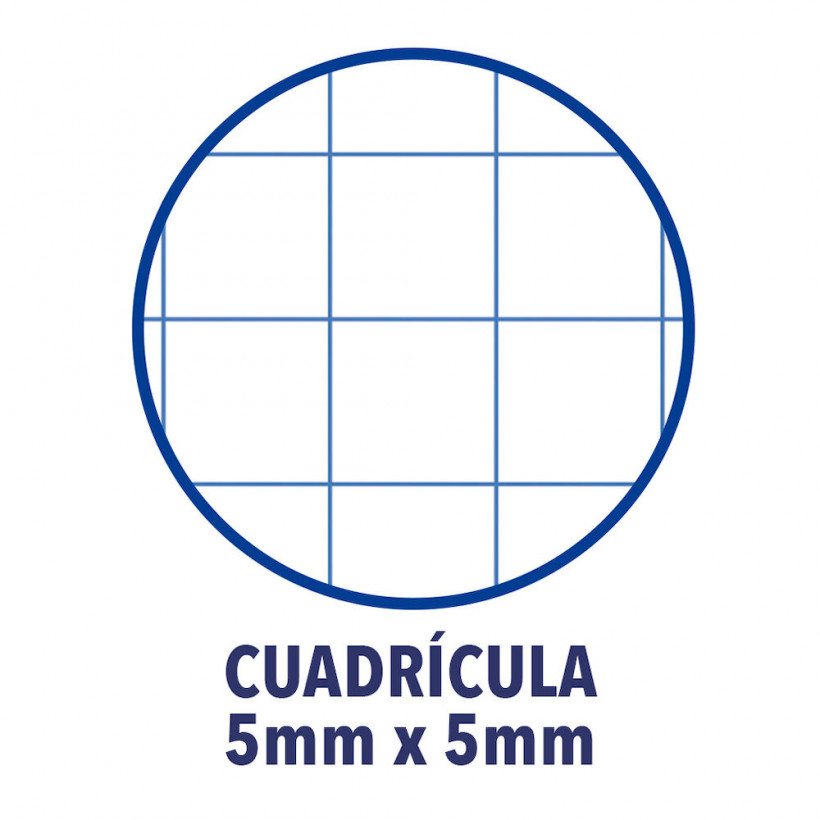 EAN 8412771083007 - Oxford 100430199 cuaderno y block A4 Verde imagen 3