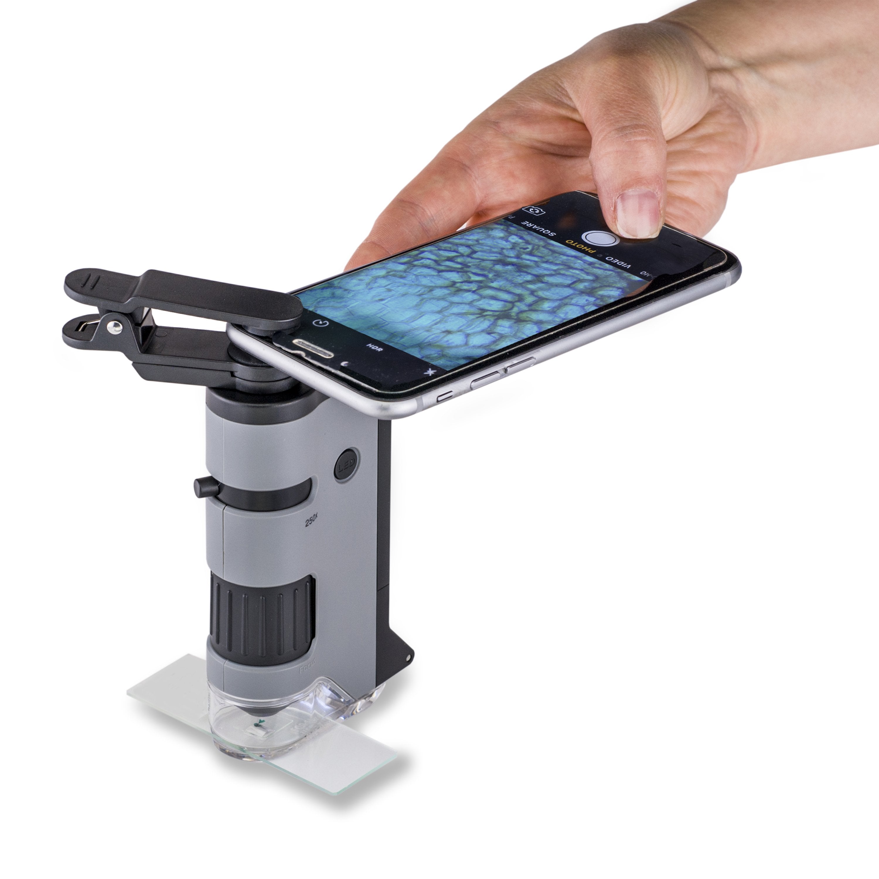 Carson Microflip 100x - 250x Led Pocket Microscope