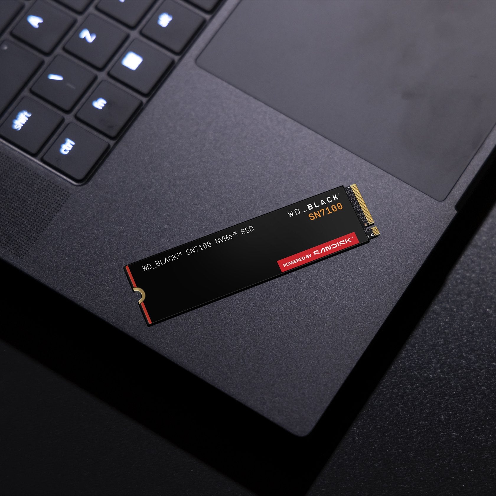 EAN 0718037893204 - SanDisk Black WD_BLACK SN7100 NVMe 1 TB M.2 PCI Express 4.0 imagen 8
