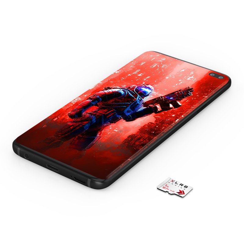 Pny Microsd Elite 256gb Class 10 Uhs-I U1 Sd Adapter