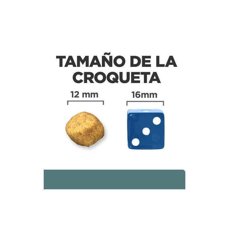 Alimento Seco Para Perros Hill'S Prescription Diet W/D Digestive Weight Diabetes Management  10 Kg